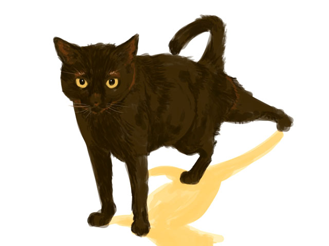 伸びをする黒猫