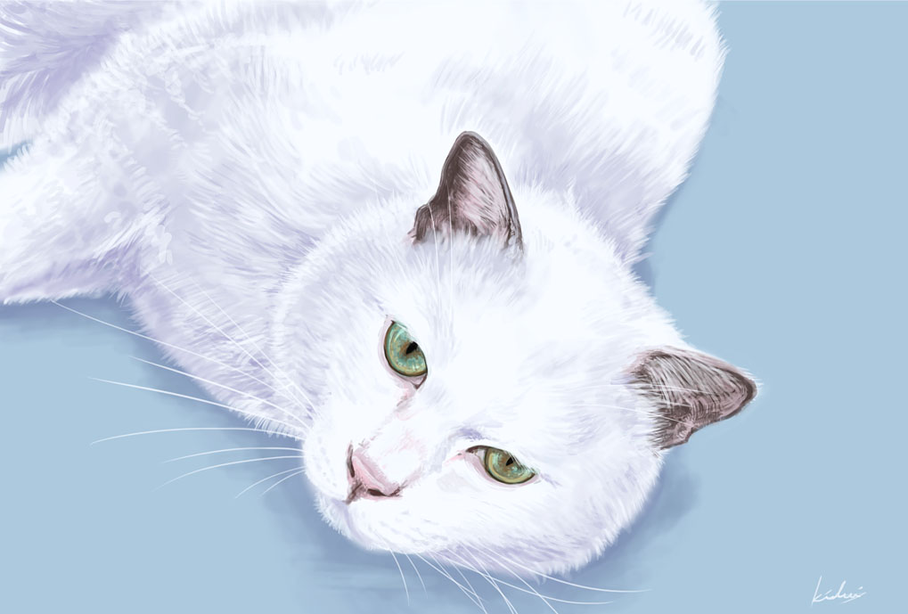 白い猫さんを描きました