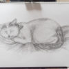 眠り猫を木炭で描いてみる