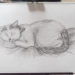 眠り猫を木炭で描いてみる